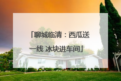聊城临清：西瓜送一线 冰块进车间