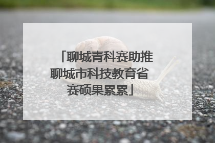 聊城青科赛助推聊城市科技教育省赛硕果累累