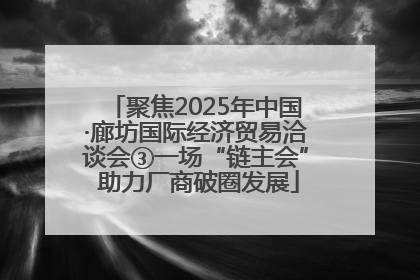 聚焦2025年中国·廊坊国际经济贸易洽谈会③一场“链主会” 助力厂商破圈发展