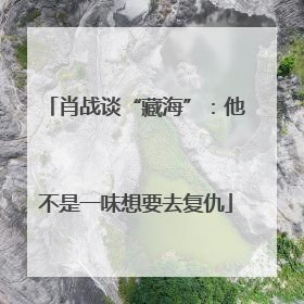 肖战谈“藏海”：他不是一味想要去复仇