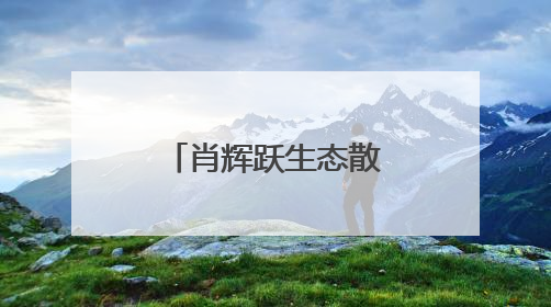 肖辉跃生态散文集《醒来的河流》交流会在湖南图书馆举行