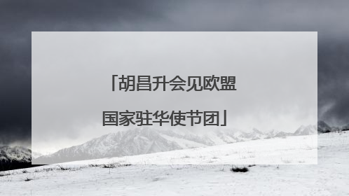 胡昌升会见欧盟国家驻华使节团