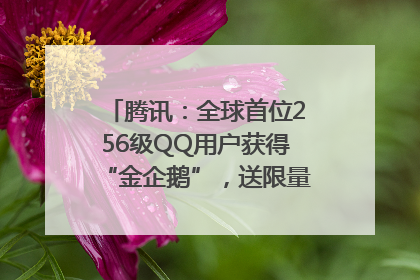 腾讯：全球首位256级QQ用户获得“金企鹅”，送限量版神秘惊喜等礼物