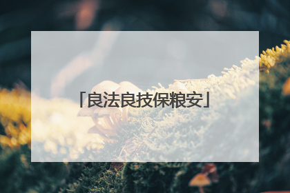 良法良技保粮安