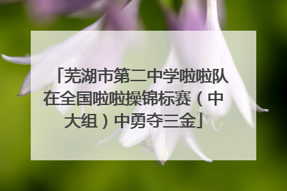 芜湖市第二中学啦啦队在全国啦啦操锦标赛（中大组）中勇夺三金