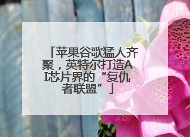 苹果谷歌猛人齐聚，英特尔打造AI芯片界的“复仇者联盟”
