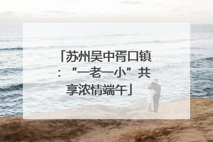 苏州吴中胥口镇：“一老一小”共享浓情端午