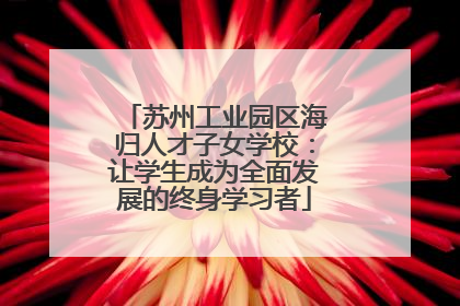 苏州工业园区海归人才子女学校：让学生成为全面发展的终身学习者