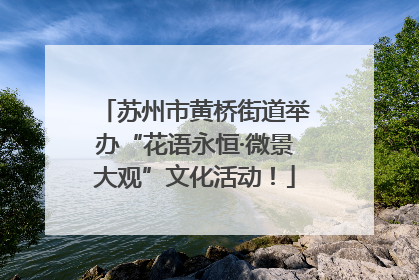 苏州市黄桥街道举办“花语永恒·微景大观”文化活动！