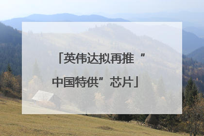 英伟达拟再推“中国特供”芯片
