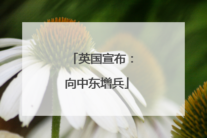 英国宣布：向中东增兵