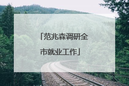 范兆森调研全市就业工作