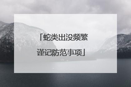 蛇类出没频繁 谨记防范事项