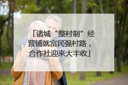 诸城“整村制”经营铺就富民强村路，合作社迎来大丰收