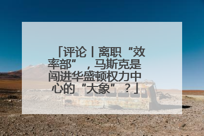 评论丨离职“效率部”，马斯克是闯进华盛顿权力中心的“大象”？