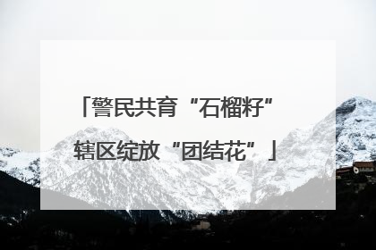 警民共育“石榴籽” 辖区绽放“团结花”