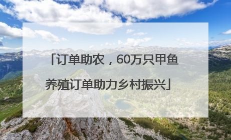 订单助农，60万只甲鱼养殖订单助力乡村振兴