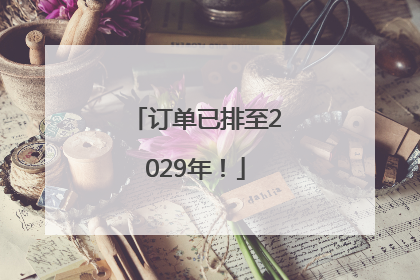 订单已排至2029年！