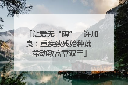 让爱无“碍”｜许加良：重疾致残始种藕 带动致富靠双手