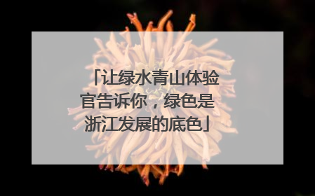 让绿水青山体验官告诉你，绿色是浙江发展的底色
