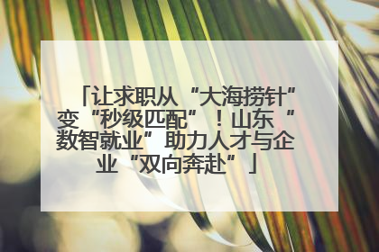让求职从“大海捞针”变“秒级匹配”！山东“数智就业”助力人才与企业“双向奔赴”