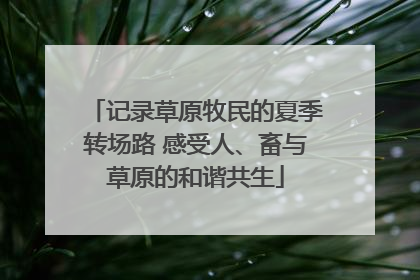 记录草原牧民的夏季转场路 感受人、畜与草原的和谐共生