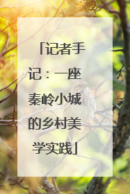 记者手记：一座秦岭小城的乡村美学实践