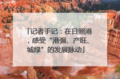 记者手记：在日照港，感受“港强、产旺、城绿”的发展脉动