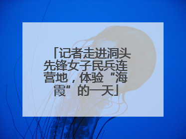 记者走进洞头先锋女子民兵连营地，体验“海霞”的一天