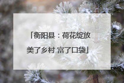 衡阳县：荷花绽放 美了乡村 富了口袋