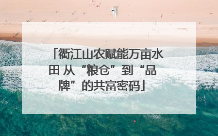 衢江山农赋能万亩水田 从“粮仓”到“品牌”的共富密码