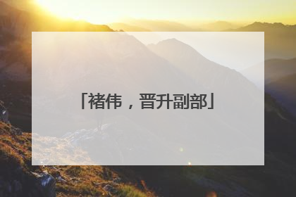 褚伟，晋升副部