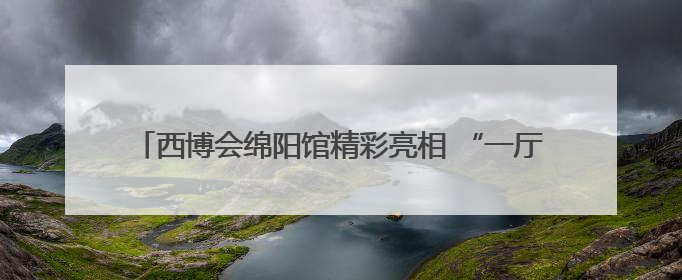西博会绵阳馆精彩亮相 “一厅两区”打造硬核科技“矩阵”