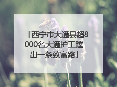 西宁市大通县超8000名大通护工蹚出一条致富路