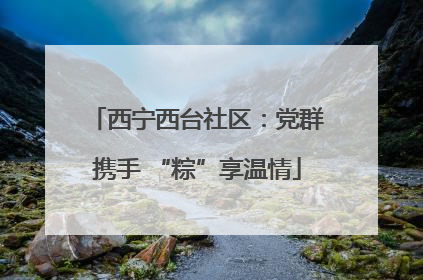 西宁西台社区：党群携手 “粽”享温情