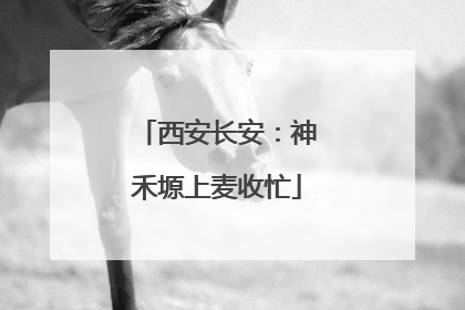 西安长安：神禾塬上麦收忙