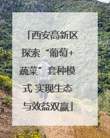西安高新区探索“葡萄+蔬菜”套种模式 实现生态与效益双赢