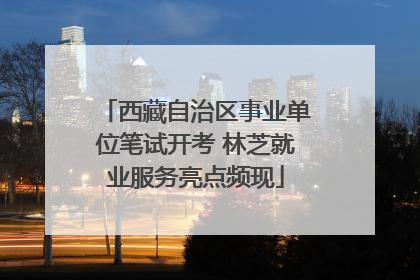 西藏自治区事业单位笔试开考 林芝就业服务亮点频现