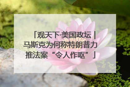观天下·美国政坛｜马斯克为何称特朗普力推法案“令人作呕”