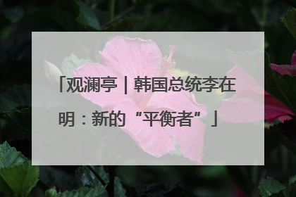 观澜亭｜韩国总统李在明：新的“平衡者”