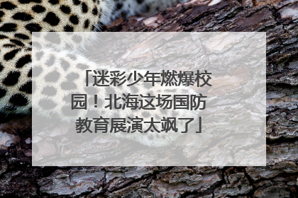 迷彩少年燃爆校园！北海这场国防教育展演太飒了