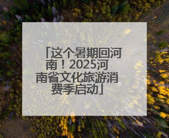 这个暑期回河南！2025河南省文化旅游消费季启动