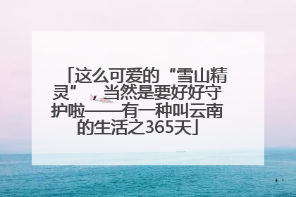 这么可爱的“雪山精灵”，当然是要好好守护啦——有一种叫云南的生活之365天