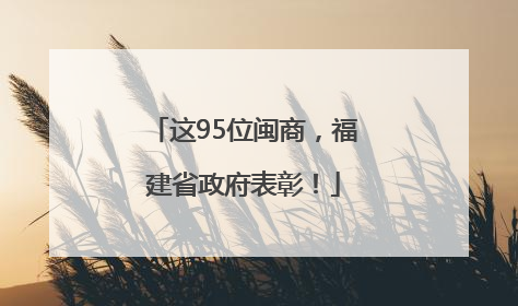 这95位闽商，福建省政府表彰！
