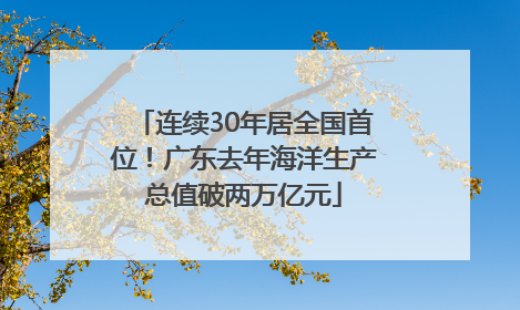 连续30年居全国首位！广东去年海洋生产总值破两万亿元