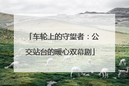 车轮上的守望者：公交站台的暖心双幕剧