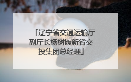 辽宁省交通运输厅副厅长杨树履新省交投集团总经理