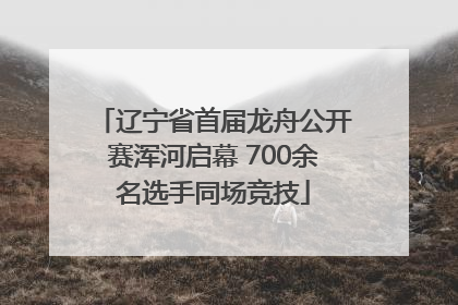 辽宁省首届龙舟公开赛浑河启幕 700余名选手同场竞技