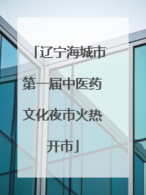 辽宁海城市第一届中医药文化夜市火热开市