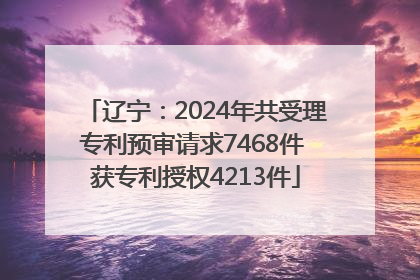 辽宁：2024年共受理专利预审请求7468件 获专利授权4213件